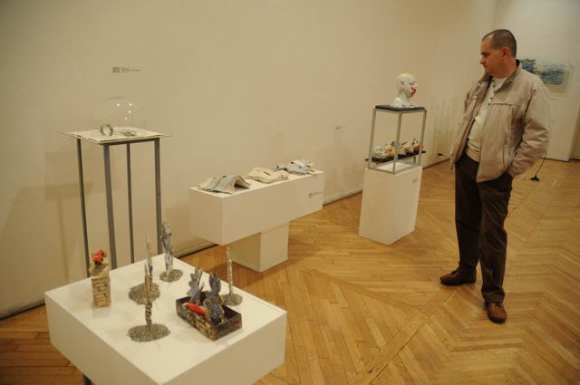 bienala ceramica sticla metal - cluj 2014 foto lucian muntean _0020