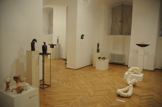 bienala ceramica sticla metal - cluj 2014 foto lucian muntean _0021