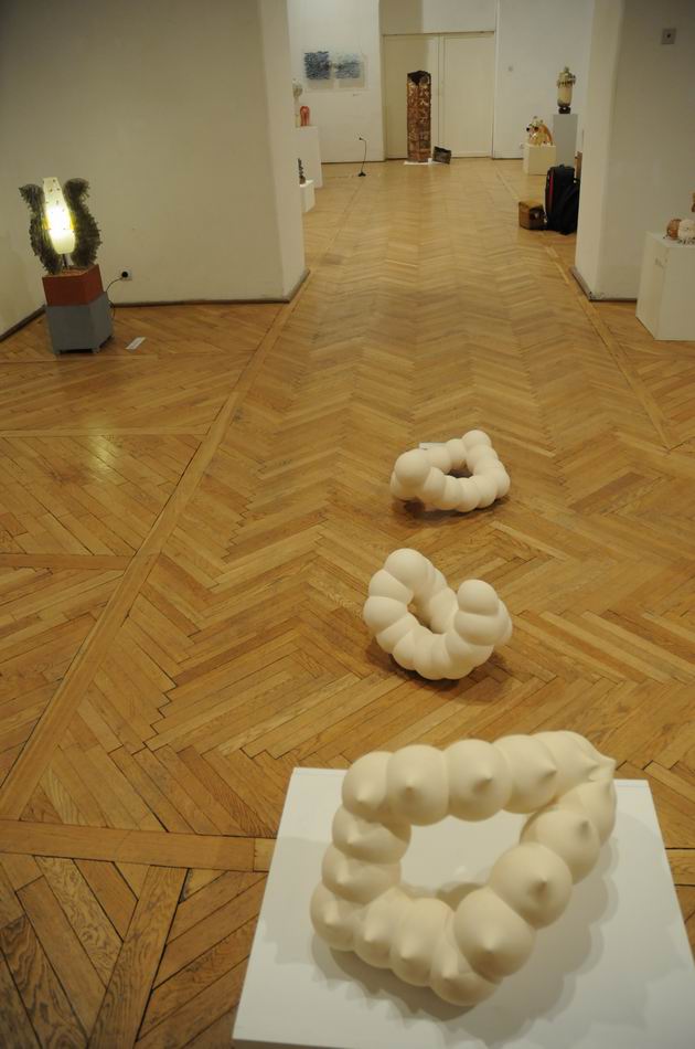 bienala ceramica sticla metal - cluj 2014 foto lucian muntean _0026