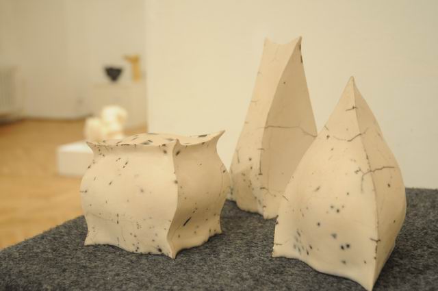 bienala ceramica sticla metal - cluj 2014 foto lucian muntean _0031