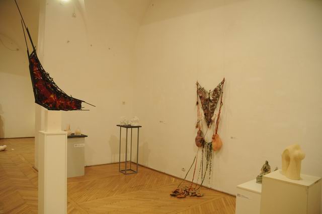 bienala ceramica sticla metal - cluj 2014 foto lucian muntean _0054