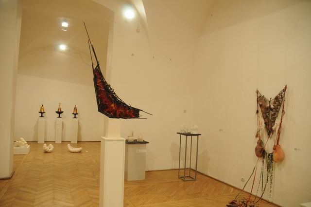 bienala ceramica sticla metal - cluj 2014 foto lucian muntean _0055