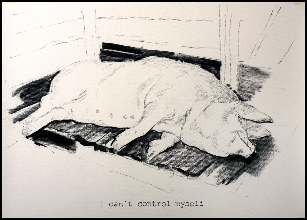 Bogdan Teodorescu, i can t control myself