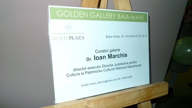 Expoziţia GENERATIA 60 si RECUPERAREA AVANGARDEI @ Golden Gallery, Baia Mare (16)