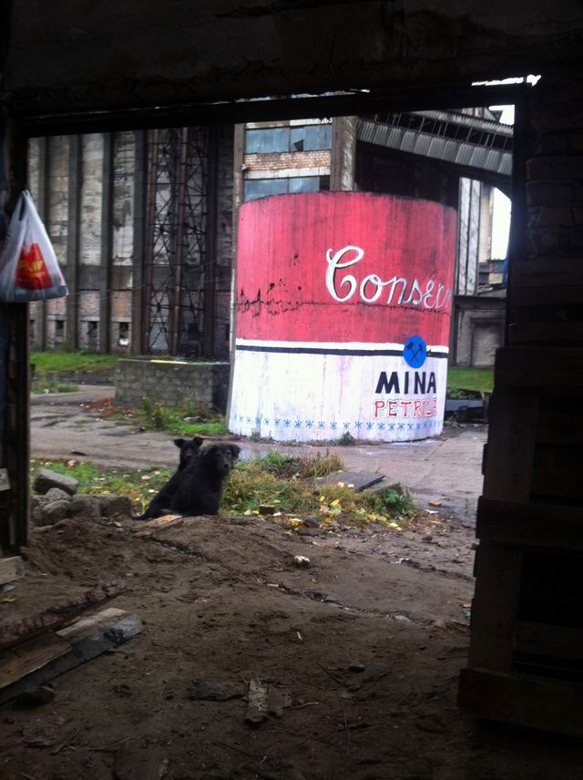 petrila - ion barbu 20