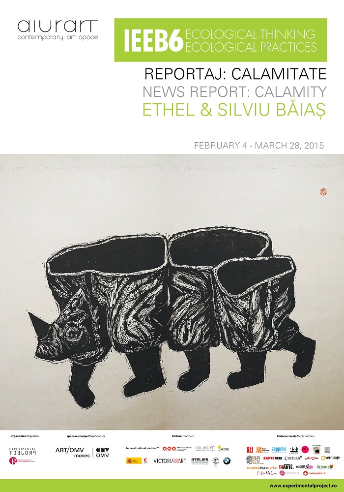 Ethel și Silviu Băiaș > Reportaj: Calamitate @ Aiurart, București