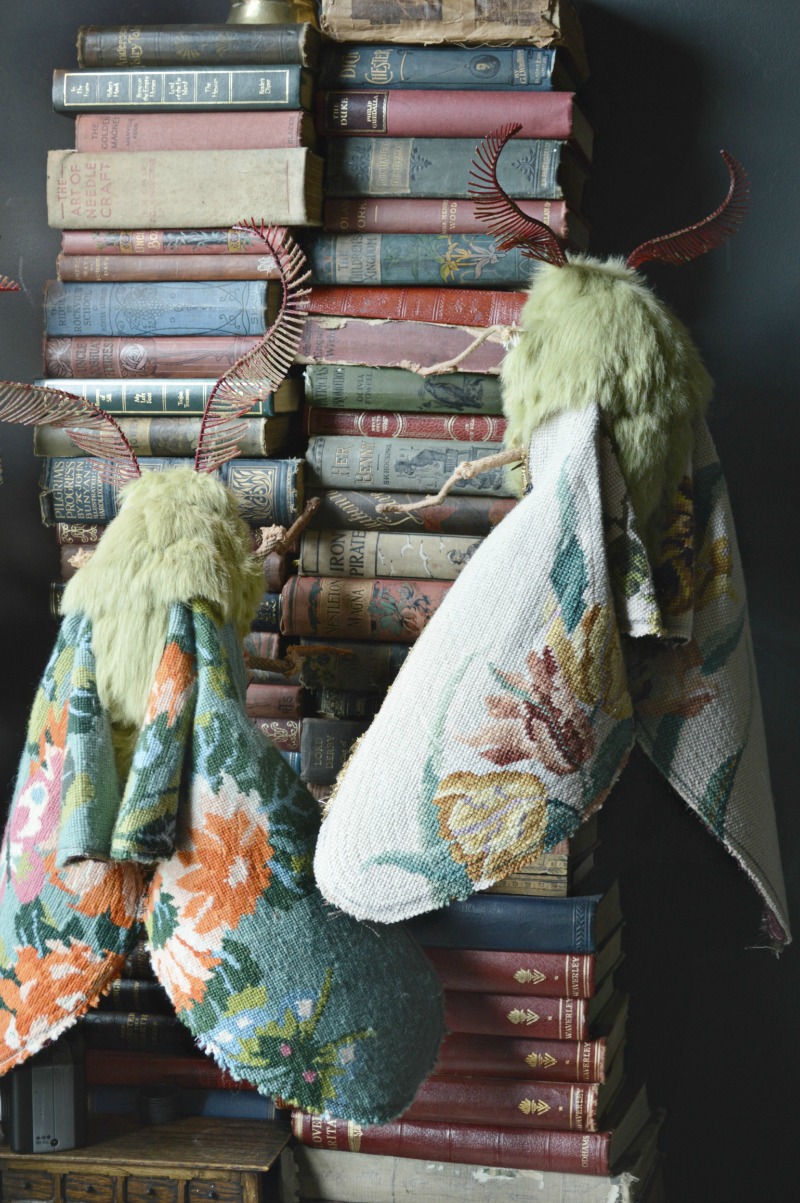 Moths-on-Books-med