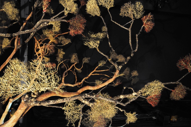 Musee des Arts Forains - Paris - photo lucian muntean  (29)