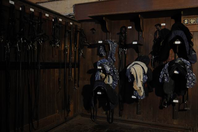 Resize of musee du cheval - chantilly - france - photo lucian muntean23