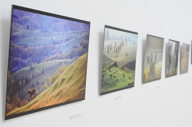 andrei pandele - fotografie MTR LM_0004