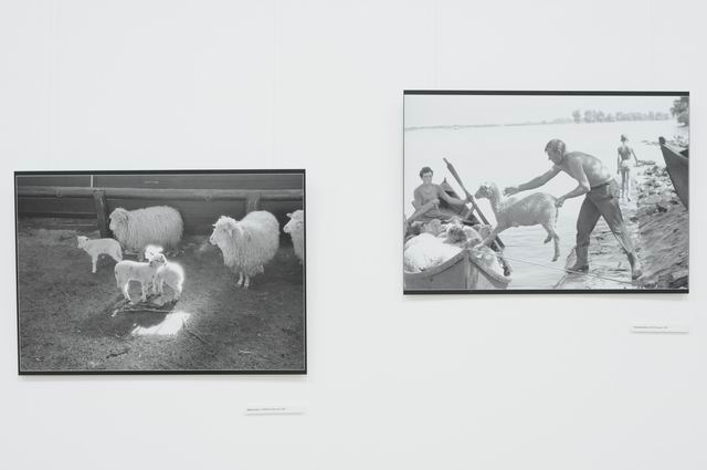 andrei pandele - fotografie MTR LM_0007