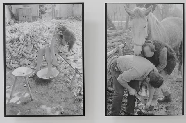 andrei pandele - fotografie MTR LM_0009