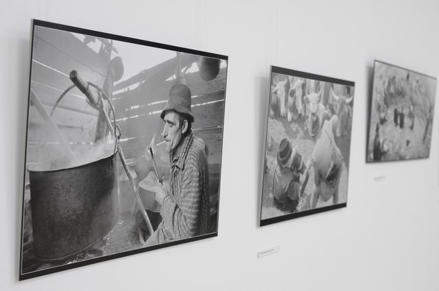 andrei pandele - fotografie MTR LM_0012