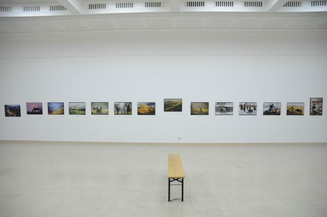 andrei pandele - fotografie MTR LM_0014