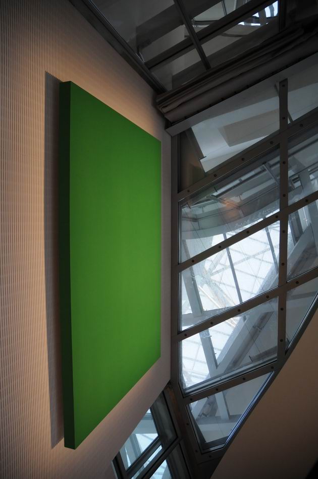 fundation louis vuitton - paris - photo lucian muntean 026