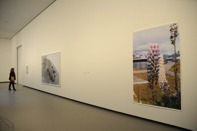 fundation louis vuitton - paris - photo lucian muntean 036