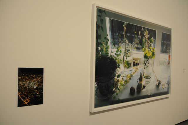 fundation louis vuitton - paris - photo lucian muntean 039