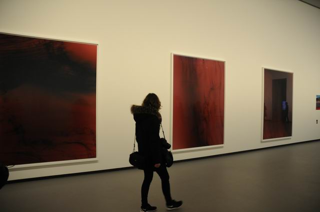 fundation louis vuitton - paris - photo lucian muntean 040