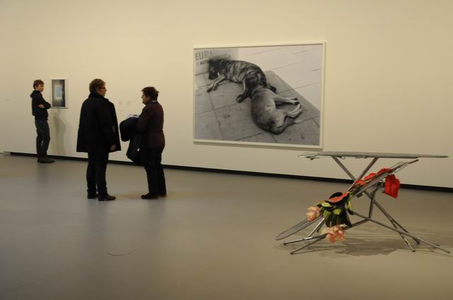 fundation louis vuitton - paris - photo lucian muntean 043