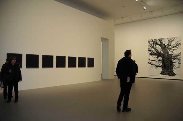 fundation louis vuitton - paris - photo lucian muntean 062