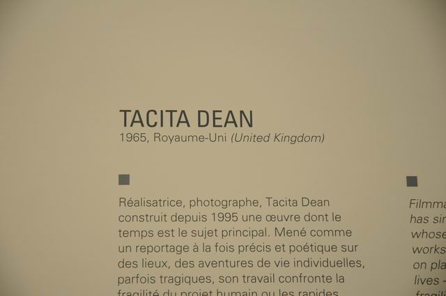 fundation louis vuitton - paris - photo lucian muntean 064