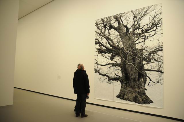 fundation louis vuitton - paris - photo lucian muntean 065