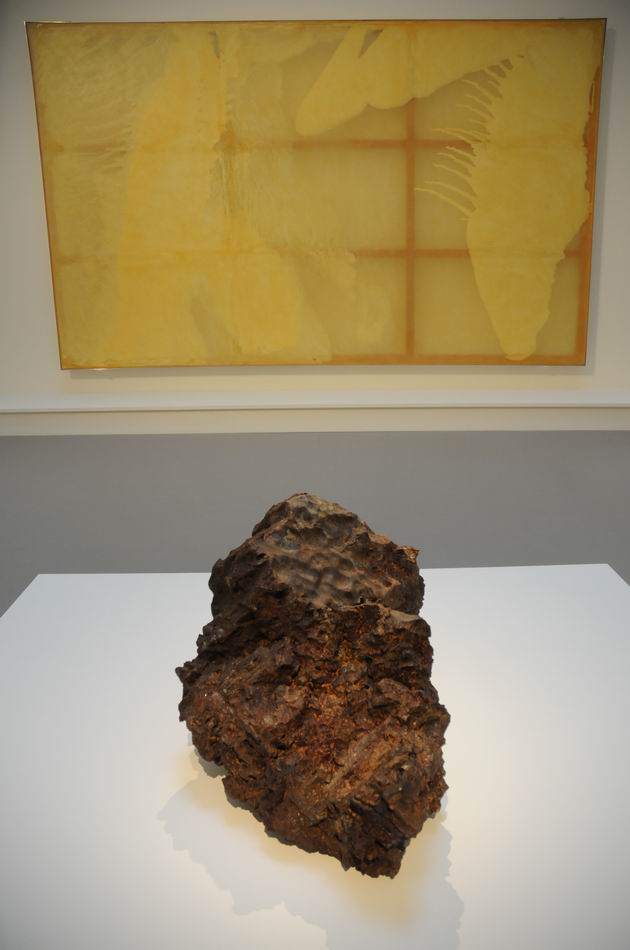 fundation louis vuitton - paris - photo lucian muntean 075