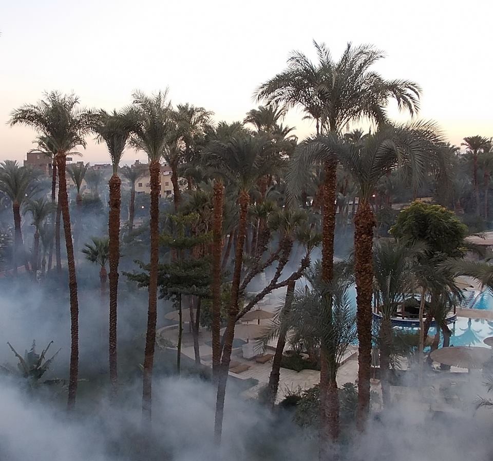 luxor - egipt maria balea 00050