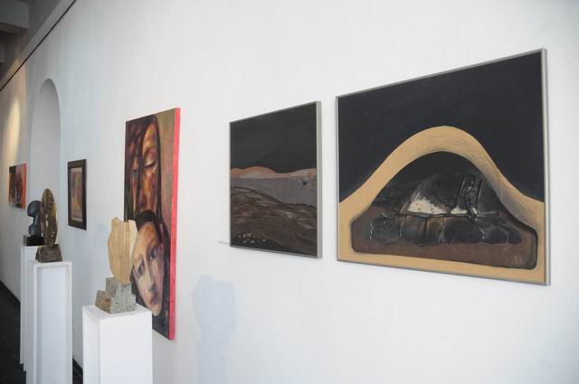 salonul de iarna 2014 - 2015 - simeza - foto Lucian Muntean 34