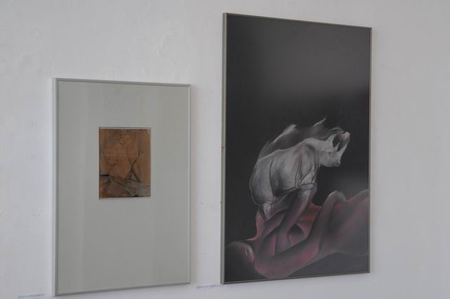 salonul de iarna 2014 - 2015 - simeza - foto Lucian Muntean 64