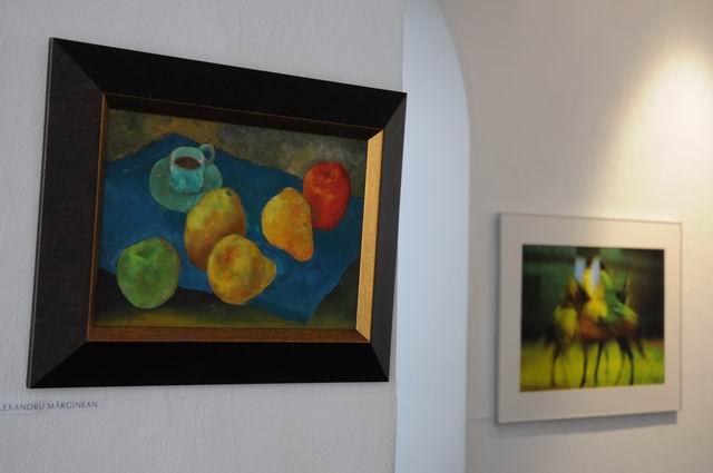 salonul de iarna 2014 - 2015 - simeza - foto Lucian Muntean 66