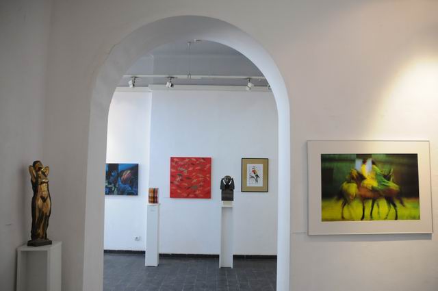 salonul de iarna 2014 - 2015 - simeza - foto Lucian Muntean 68