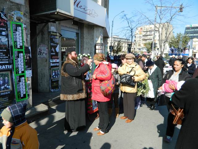 Resize of 10 Preot miruind pe trotuar in Piata Unirii din Bucuresti