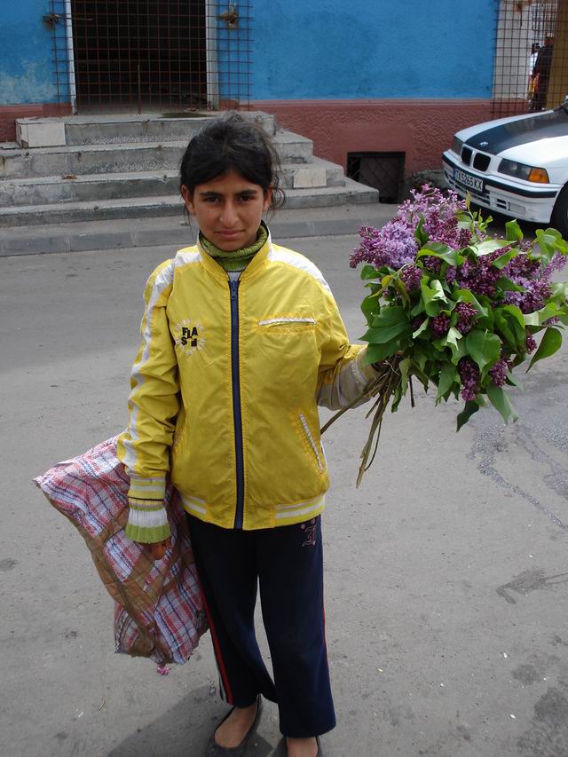 Resize of 6 Florareasa in devenire in fosta piata Matache