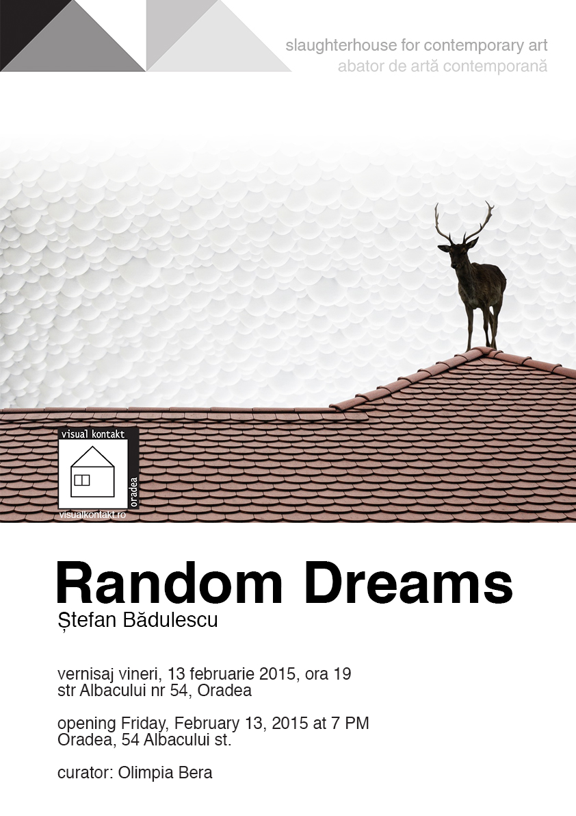 Ştefan Bădulescu „Random Dreams” @ Galeria Visual Kontakt, Oradea