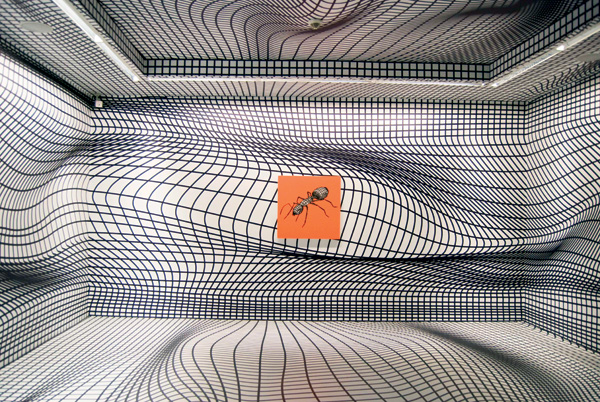 tumblr_njfdp4P3cM1rlaql2o3_1280