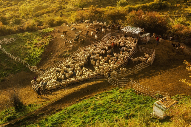 Auras Mihaiu, Winner, Romania, National Award, 2015 Sony World Photography Awards