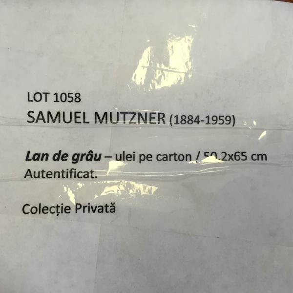 image-2015-03-27-19760338-41-tablou-confiscat-dna-apropiatii-lui-darius-valcov-17