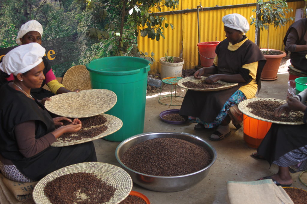 addis abeba - cafea - etiopia- africa foto aurel tar 04