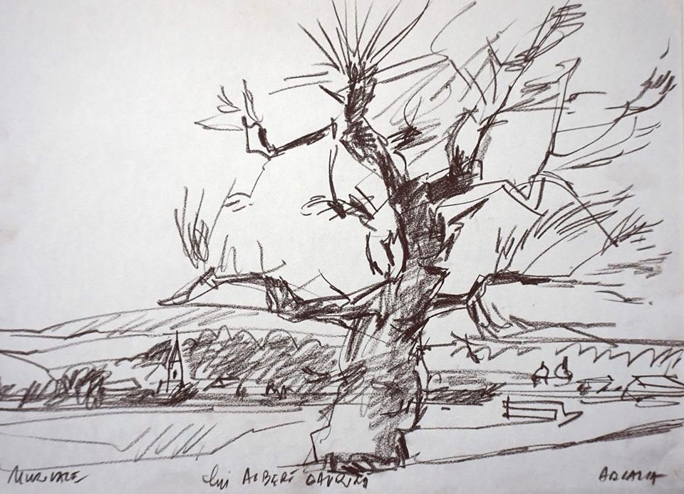 arcalia vasile muresan murivale 012