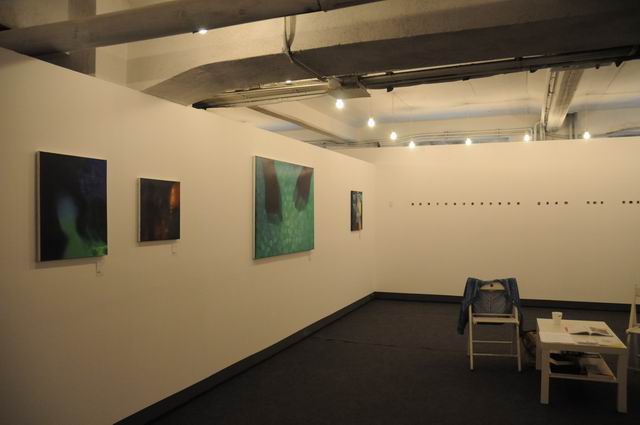 artsafari 2015 - foto lucian muntean 047