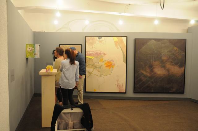 artsafari 2015 - foto lucian muntean 073