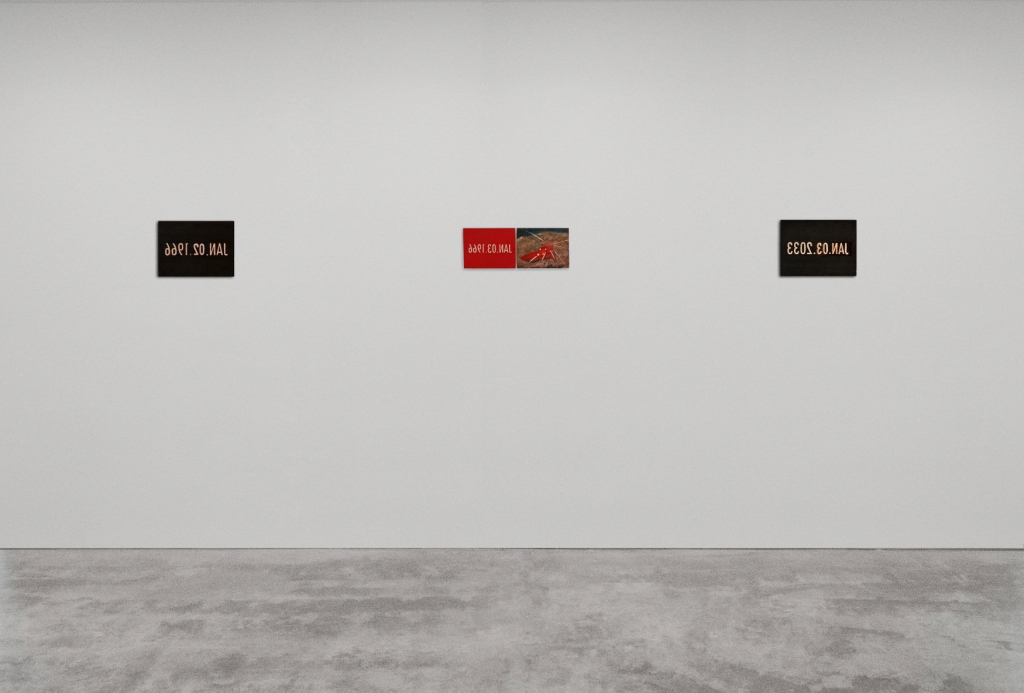 Frédéric Xavier Liwer (2)