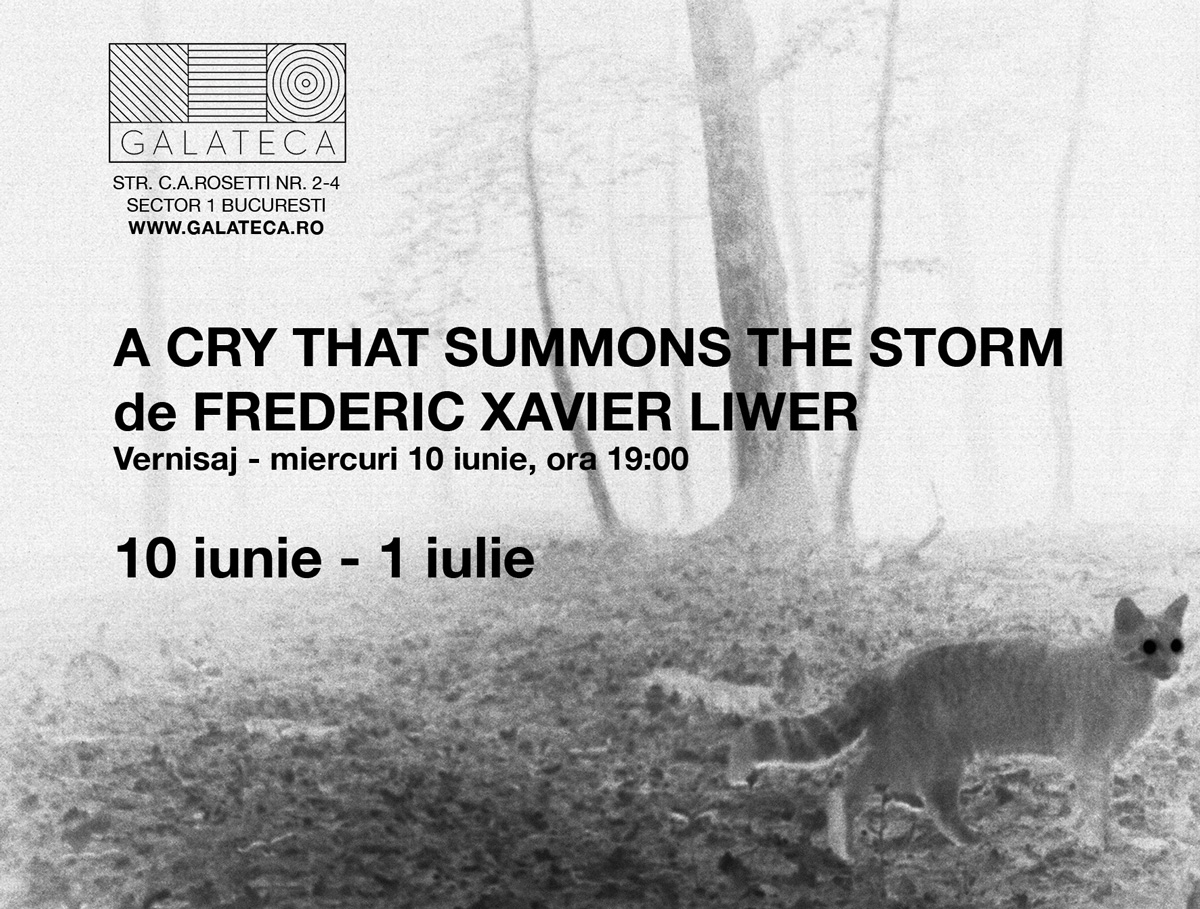 Frédéric Xavier Liwer „Un strigăt ce invocă furtuna” @ Galeria Galateca, București