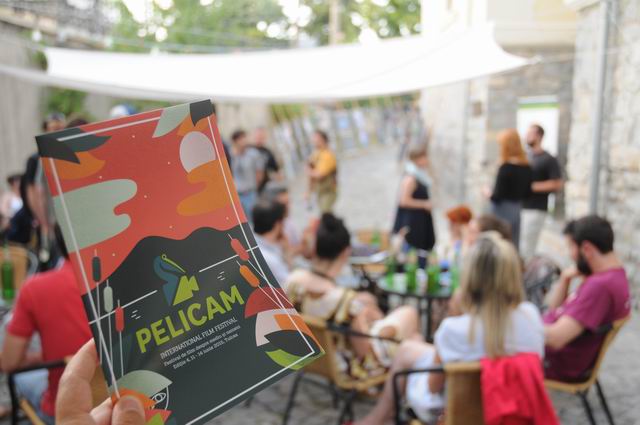 PELICAM 2015 - Tulcea foto lucian muntean 11