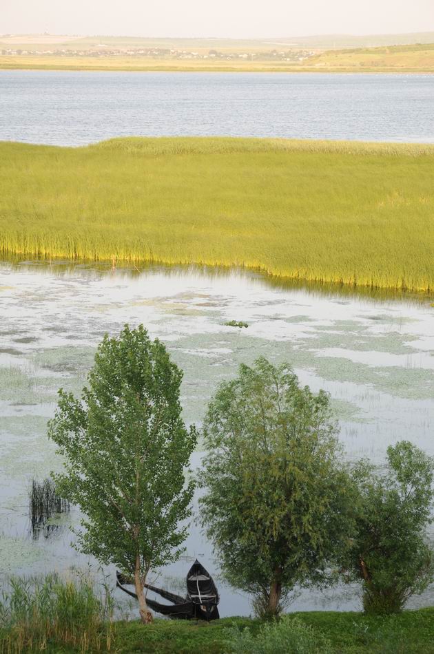 PELICAM 2015 - Tulcea foto lucian muntean 33