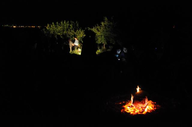 PELICAM 2015 - Tulcea foto lucian muntean 35