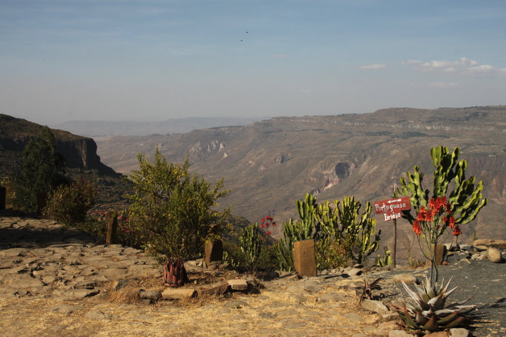 aurel tar - etiopia _06