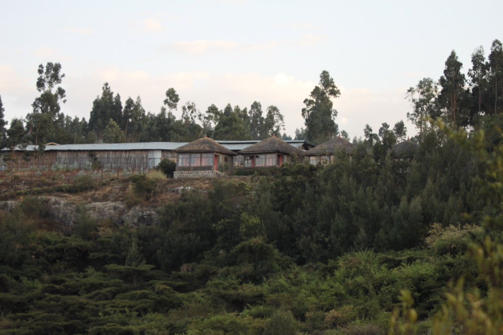 aurel tar - etiopia _26