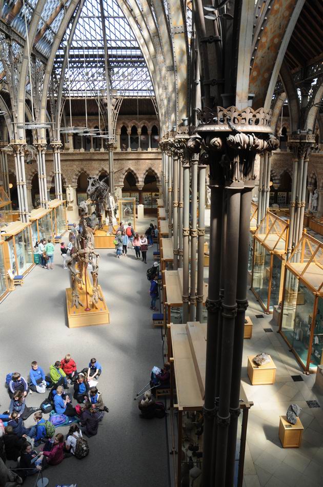 oxford university museum of natural history - photo lucian muntean _0005